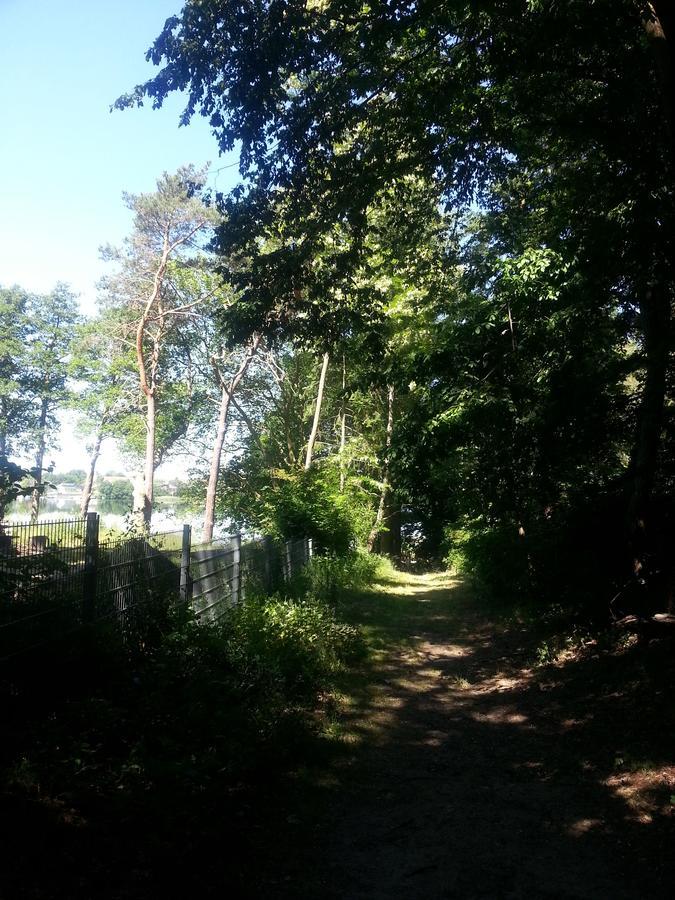 Holzhaus Waldwichtel Am Wald Und See Neuruppin Dış mekan fotoğraf